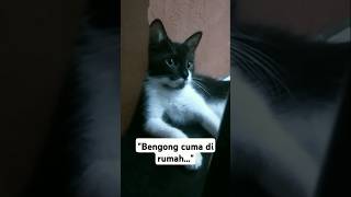 Download Lagu Tolong culik aku dongggg😹 MP3