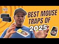 10 Best Mouse Traps of 2025, According to an Exterminator
