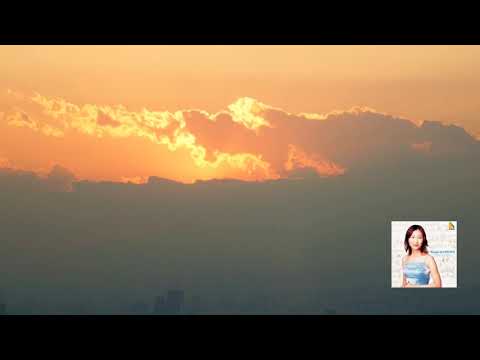 Ver ショパン：夜想曲 第13番 ハ短調 作品48-1 高橋 多佳子 2002 en YouTube