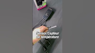 Dimming Thermostat Reptile Systems