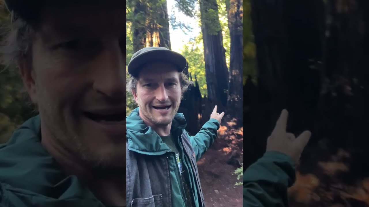 Ranting about Redwoods & Botanical Biodiversity