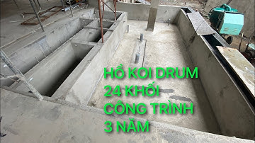 Hồ Koi 24 khối dùng Drum 60 khối || Tham Quan || Cá Koi Vlog Trần Đức Cường