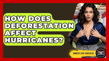 How Does Deforestation Affect Hurricanes? - Moments That Shocked Us