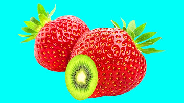 Hidden Patterns Inside Exotic & Tropical Fruits & Vegetables stop-motion NEW ASMR