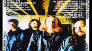 Video thumbnail of "Screaming Trees-Peace In The Valley (Johnny Cash cover)"