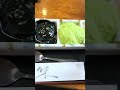 仙台の百名店！村上屋餅店　三色餅