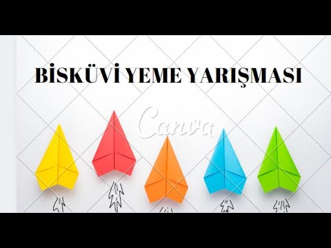 Şahangiller araba Şahangiller araba