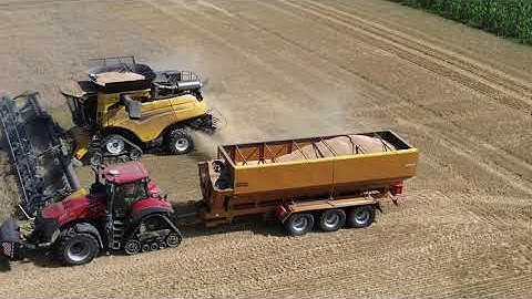 New Holland Combine CR10.90 Wheat Harvest 2025 & Case IH 380 - Briningham Melton Constable Norfolk