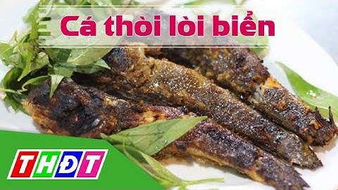 THDT - Cá thòi lòi biển - Đặc sản miền sông nước