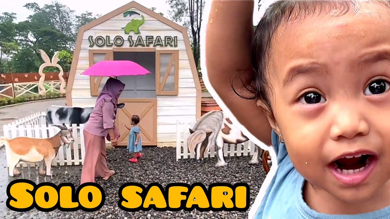 Bermain di SOLO SAFARI ZOO kebun binatang ada banyak hewan , komodo ...