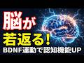 運動しろと言われても何すれば?パーキンソン病に必要な脳の栄養剤「BDNF」を増やす運動のポイントを説明します