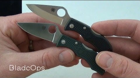 Spyderco Ladybug with VG10 vs. Ladybug with ZDP-189