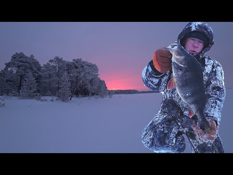 Video: KhMAO (Hantimansu autonomā apgabala) daba un rezervāti: apraksts un interesanti fakti