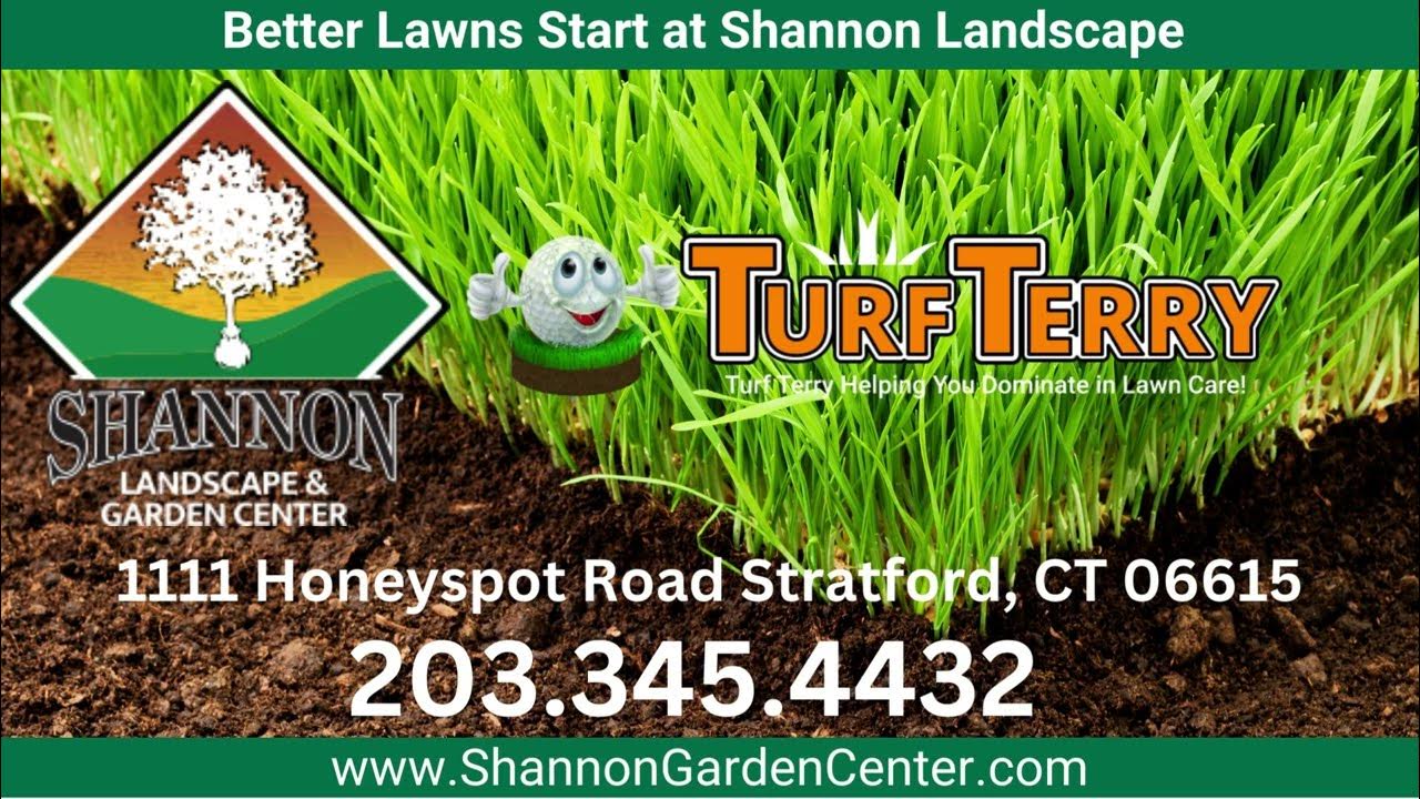 GreenView Grass Seed Best Lawn Seed Connecticut Top Rated Grass Seed