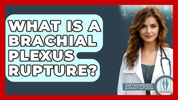 What Is A Brachial Plexus Rupture? - Orthopedic Support Network