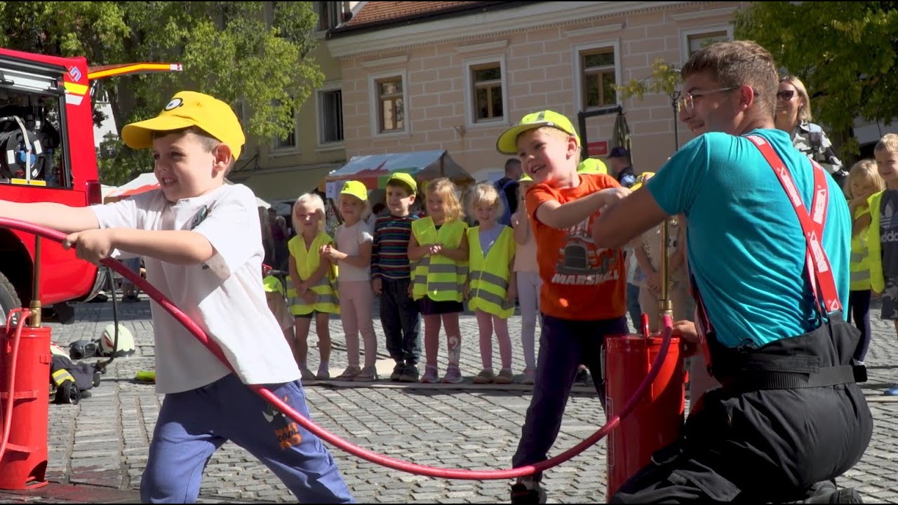 Dan brez avtomobila 2025