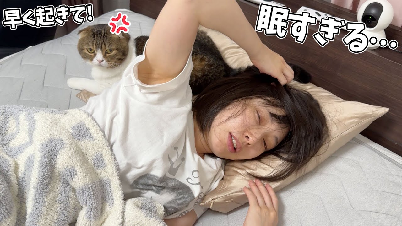 人は猫から深夜3時に叩き起こされるとこうなります…