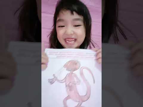 Lucu bikin ngakak