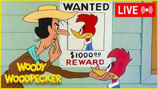 LIVE 🔴 Woody IS WANTED By The Sheriff💰  MORE Episodes of Classic Woody Woodpecker Lantz Cartunes