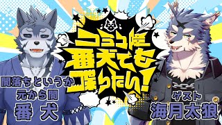 【コラボ雑談】コミュ障番犬でも喋りたい！ゲスト：海月太狼【Vtuber/雹衛ハガル】