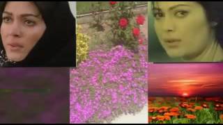 Aydoğan Tayfur, Karagözlüm