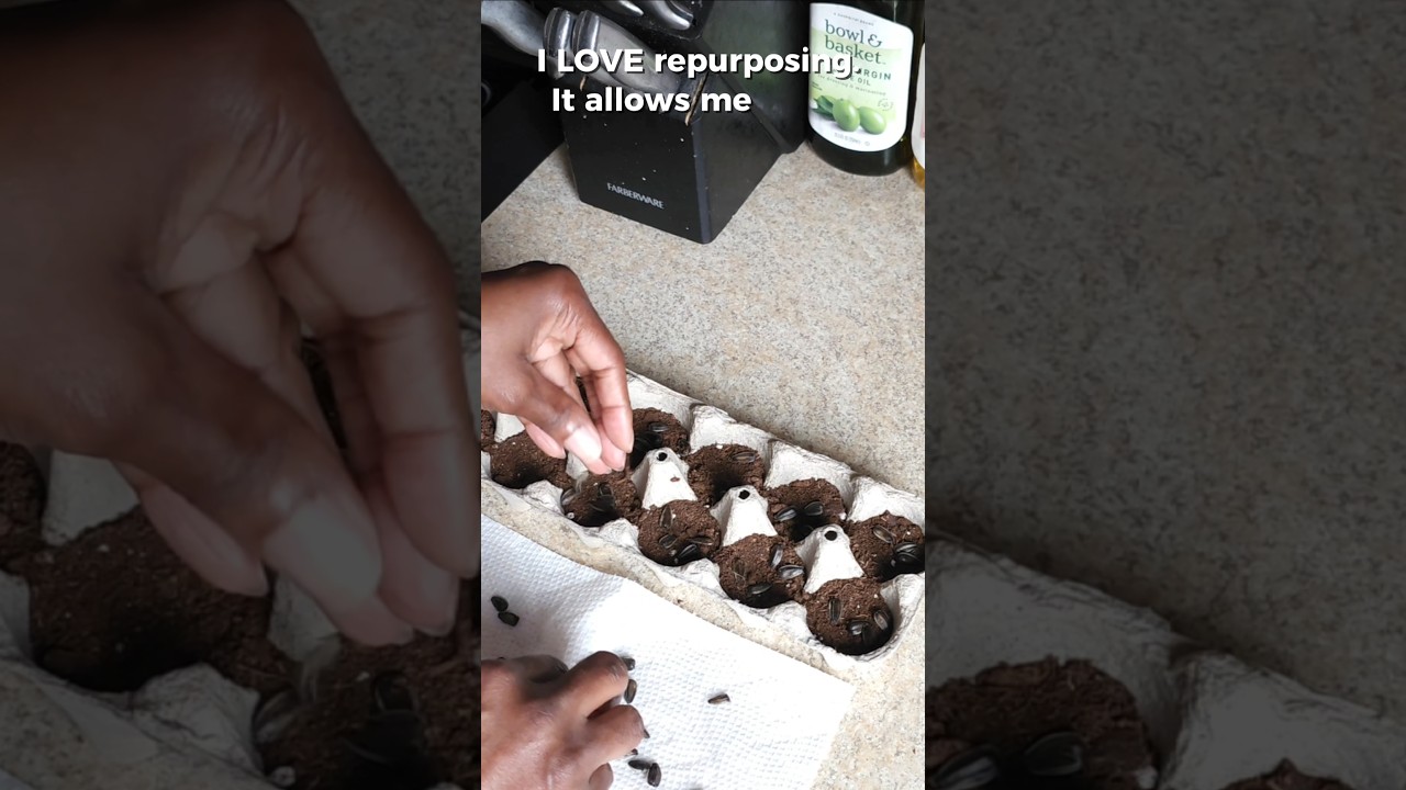 Repurposing: Finding New Life in Old Things