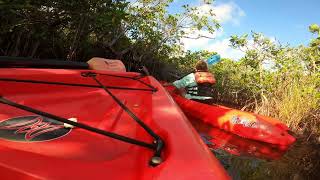 Hell's Bay Kayaking Trail - Florida Everglades Net Worth