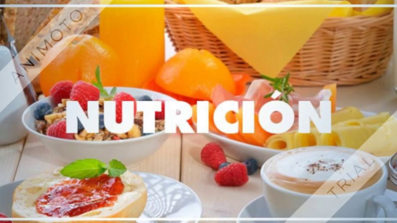 CONSEJOS DE NUTRICIÓN SALUDABLE festival of lights