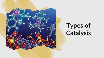 Types of Catalysis|Catalyst types in Chemistry #chemistry #catalyst #chemistrynotes