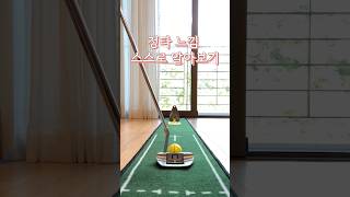 도구 없이 퍼터 정타 느낌 스스로 알기 #퍼터연습 #쓰리펏그만하자 #좋아요는큰힘이됩니다