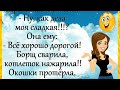 Юмор! Анекдоты! "Упёртый Кот" Позитив для хорошего настроения!))