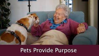 Mindful Mondays: How Pets Provide Purpose