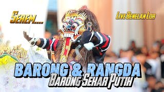 BARONG & RANGDA SENI BARONG OGOH OGOH SEKAR PUTIH LIVE_ Benelan Lor kabat