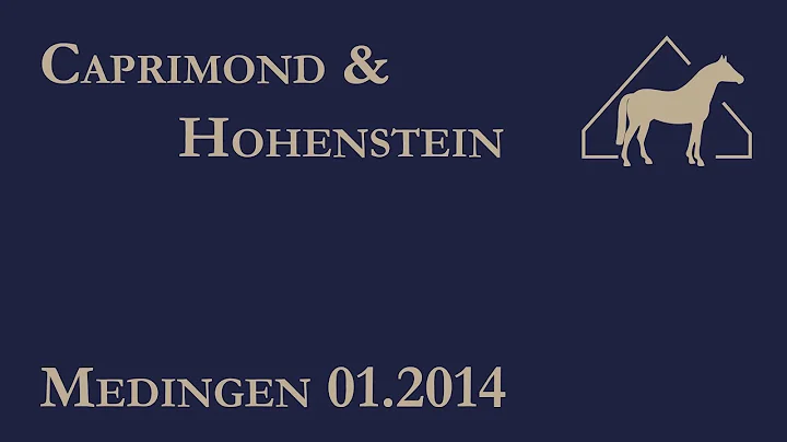 "Caprimond und Hohenstein" - Klosterhof Medingen Hengstschau 2014