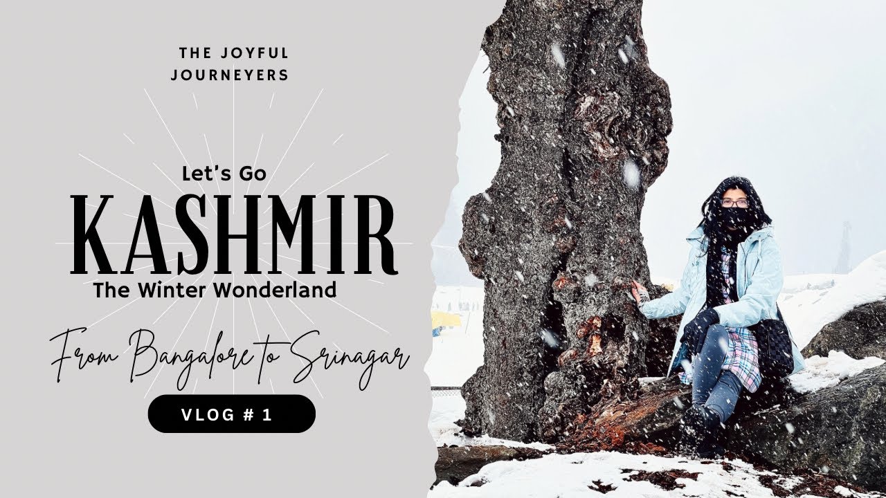 Kashmir Trip | Vlog 1 | Journey  to Srinagar #srinagar #winter #kashmir #travel #incrediblelndia