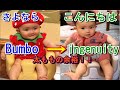 【生後6ヶ月赤ちゃん】【Vlog】Bumboからingenuityへ♪ベビーベース使ってみた！
