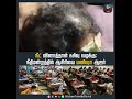 நீட் வினாத்தாள் கசிவு வழக்கு: நீதிமன்றத்தில் ஆசிரியை மனிஷா ஆஜர்