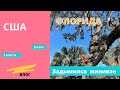 #191 США/ВЛОГ/Поездка в город Тампа/ Что с нашей машиной? Арендовали минивэн Крайслер