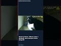 Room by Room Officers Clear a Building   San Francisco Police Bodycam