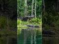 POV: you didn’t just book a kayak tour… you stepped into a living postcard