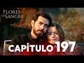Flores De Sangre Capítulo 197 Kan Cicekleri Subtítulos En Español 