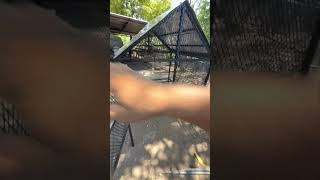 Jaula para pájaros #herreros #soldadores #infra