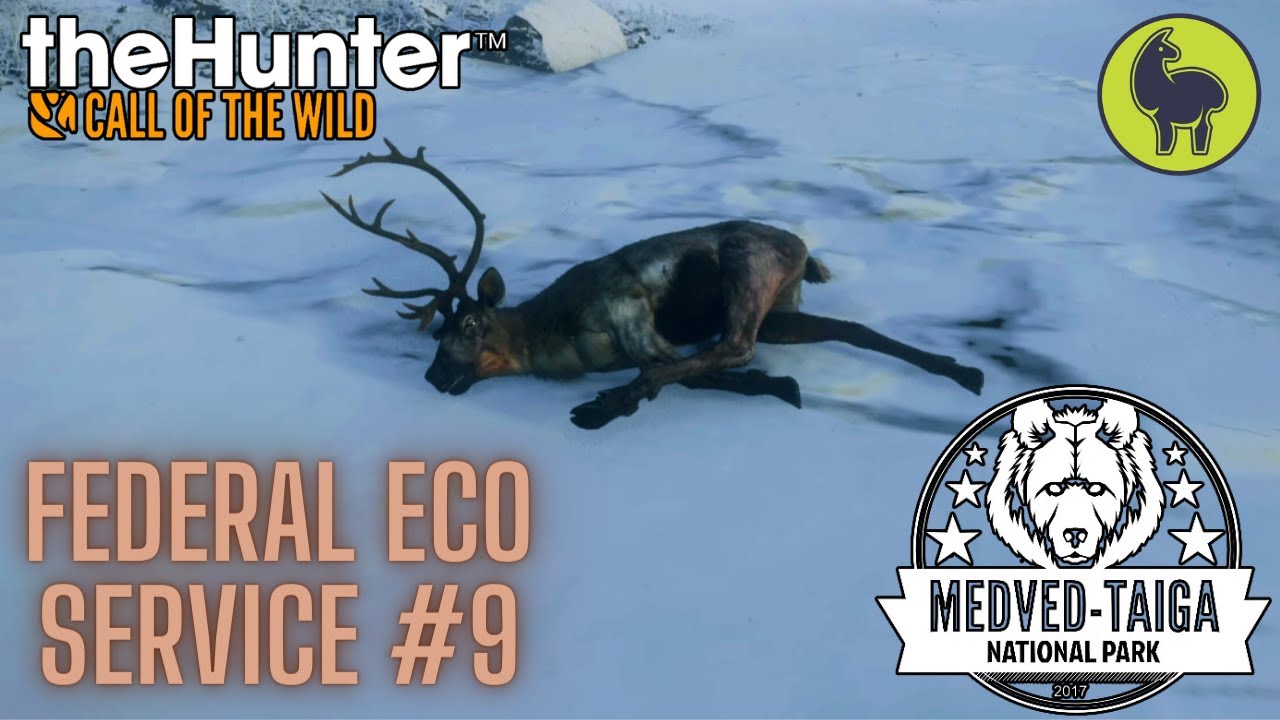 Federal Eco Service #9, Medved Taiga | theHunter: Call of the Wild