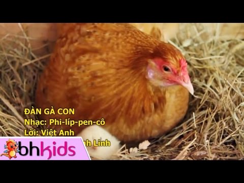 Video Đàn Gà Con - Liên Khúc Thiếu Nhi Vui Nhộn HD - youtube
