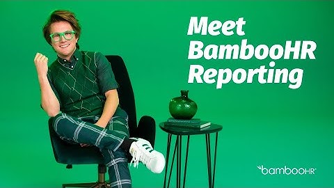 HR Reporting That Is Easy To Understand | BambooHR
