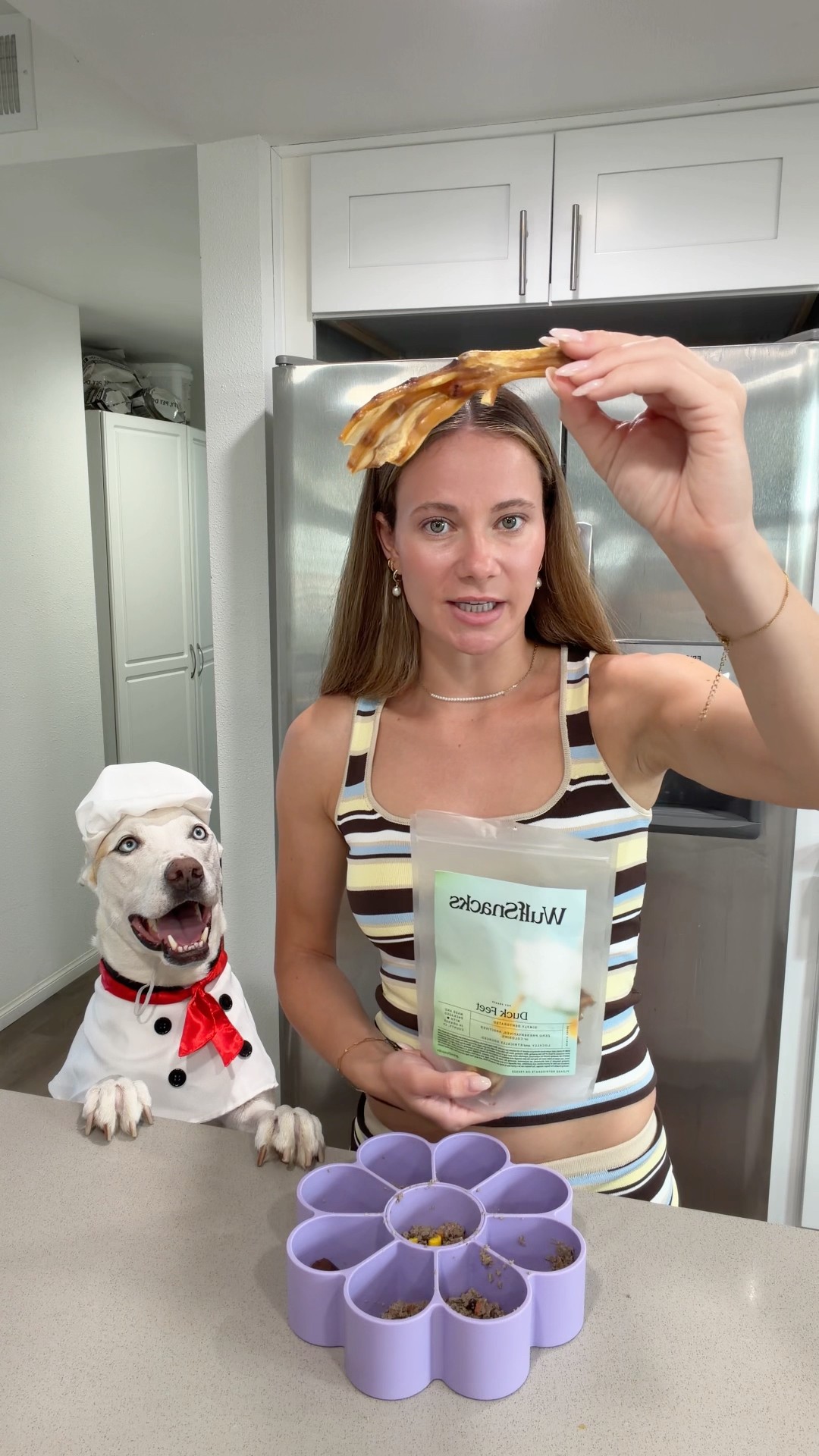 ドッグフード yuki Poor Yuki must be starving! #dogshorts #doglife #dogmom #pets