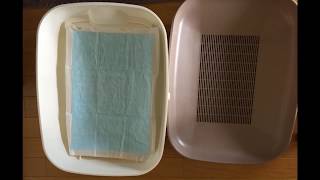 猫の採尿の仕方