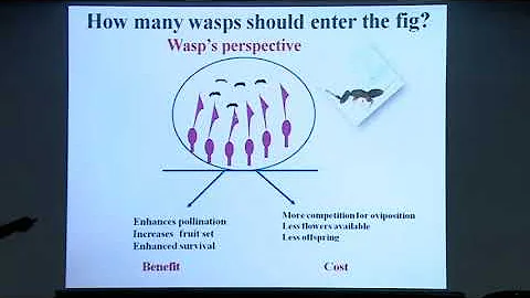 Prof. KN Ganeshaiah @InSearch 2018 JNCASR