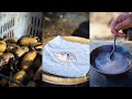 Ancient homemade lotus root starch is the taste of pure lotus root starch# new farmer plan 2024# lo