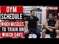 GYM SCHEDULE: Which MUSCLE to train on what DAY of week! (Hindi /Punjabi)